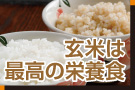 玄米は最高の栄養食